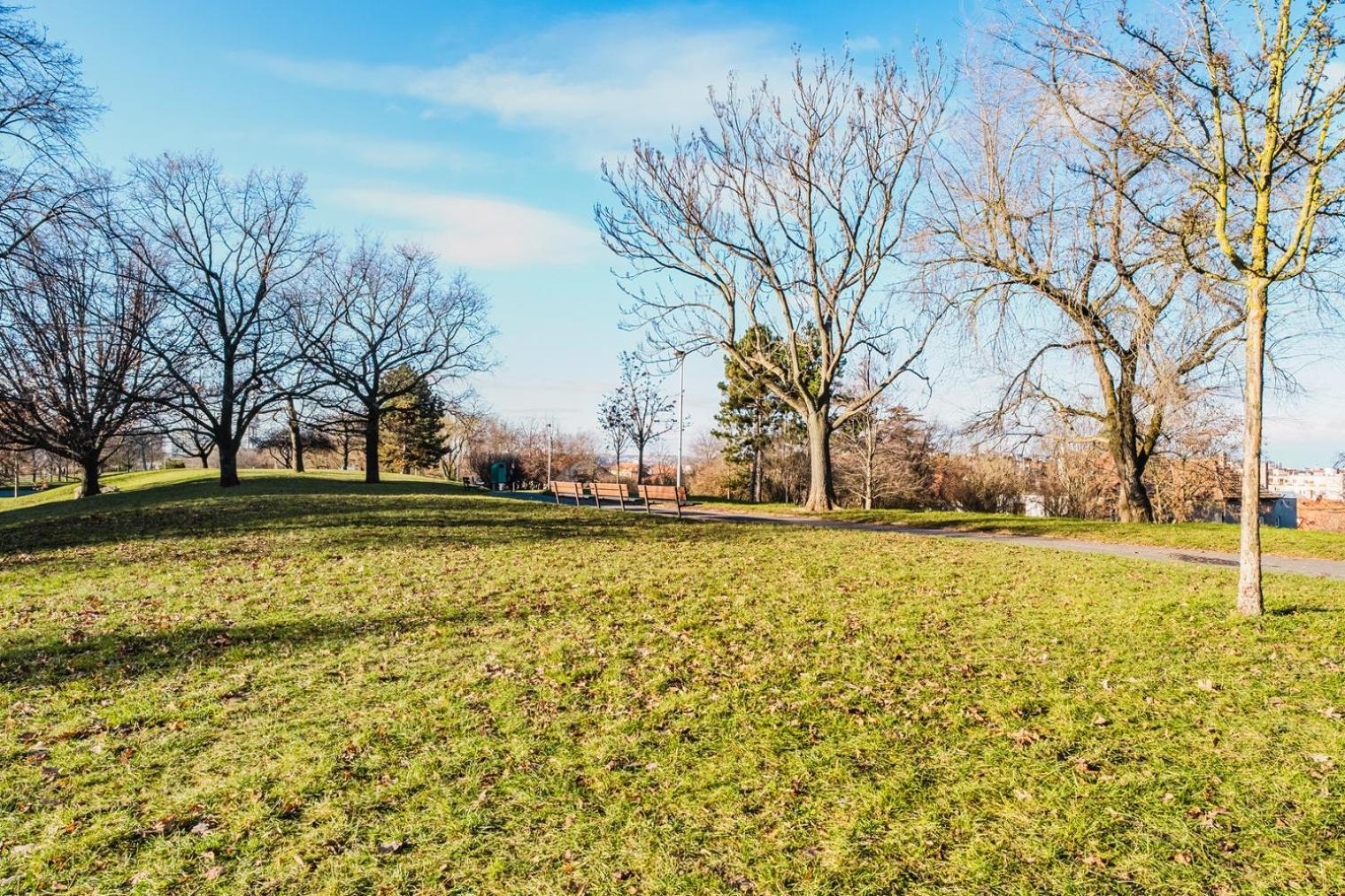 Lejlighed Blueground Zizkov Furnished Park Prg-42